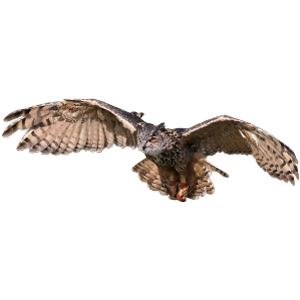 Owl-class Owl-class