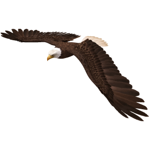 Eagle-class